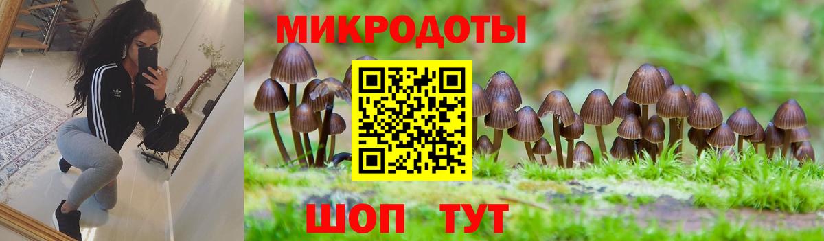 Каменка  Галлюциногенные грибы GOLDEN TEACHER  Галлюциногенные грибы MAGIC MUSHROOMS  Вход с VPN 